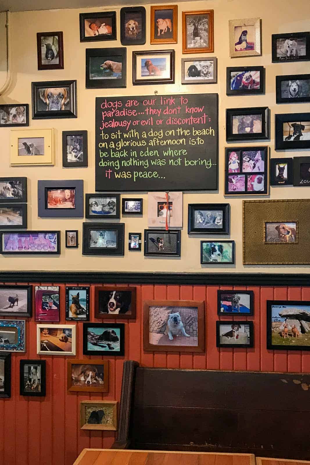 Inside the Lost Dog Cafe