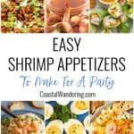 Easy shrimp appetizers to make for a party