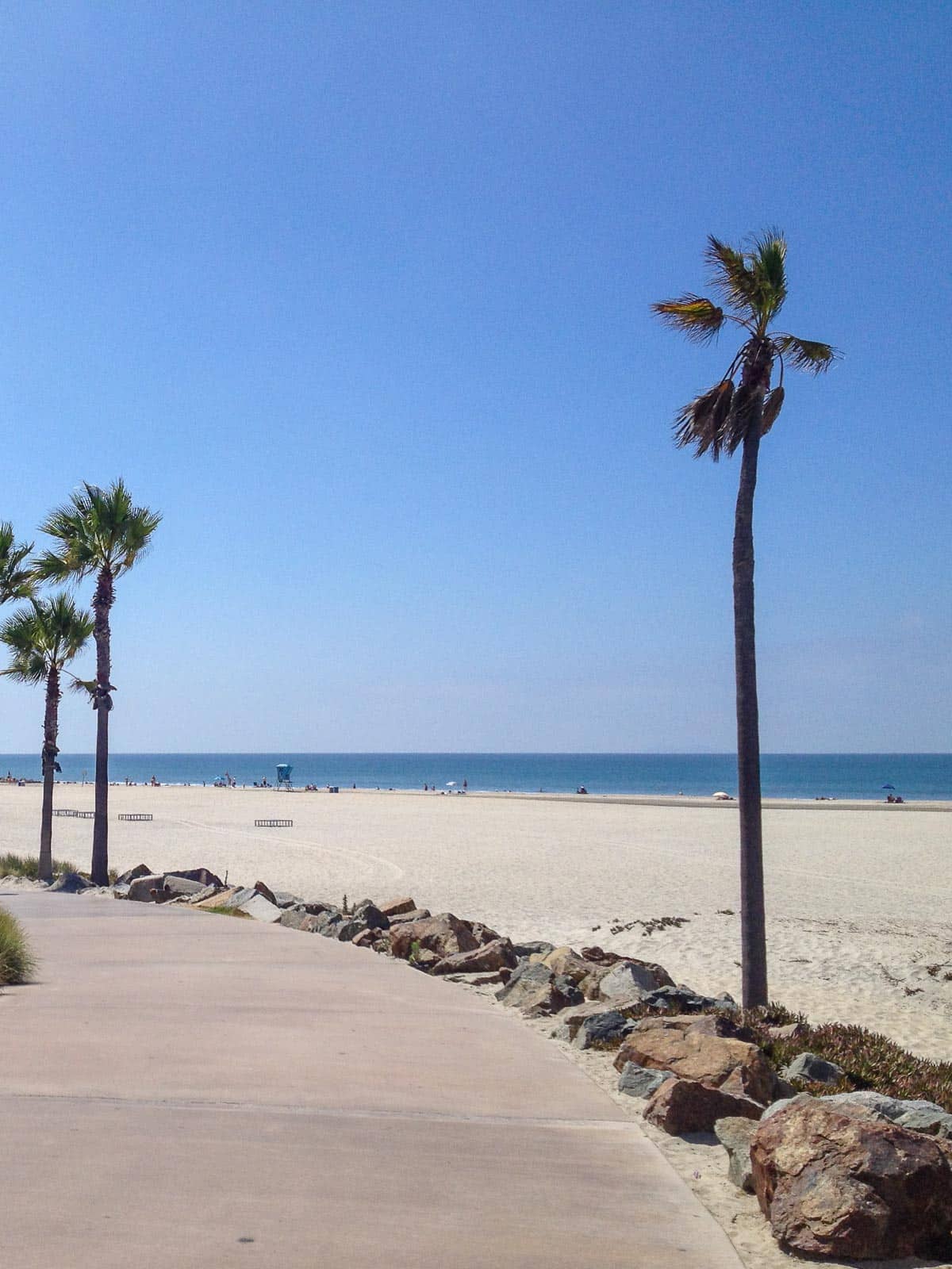 Coronado Beach, California walkway, sand, ocean and palm trees.