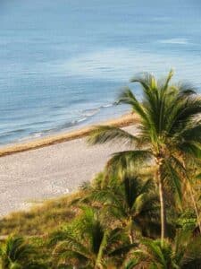 Pompano Beach, Florida overlooking palm trees