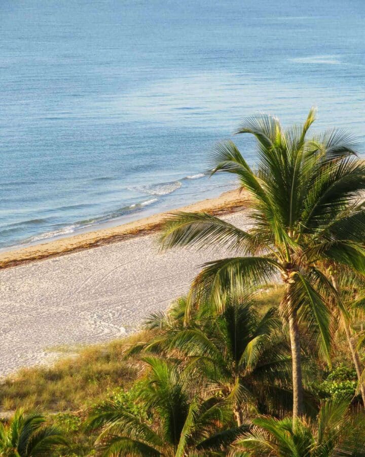 Pompano Beach, Florida overlooking palm trees