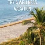 NEED TO RECHARGE? TRY A WELLNESS VACATION