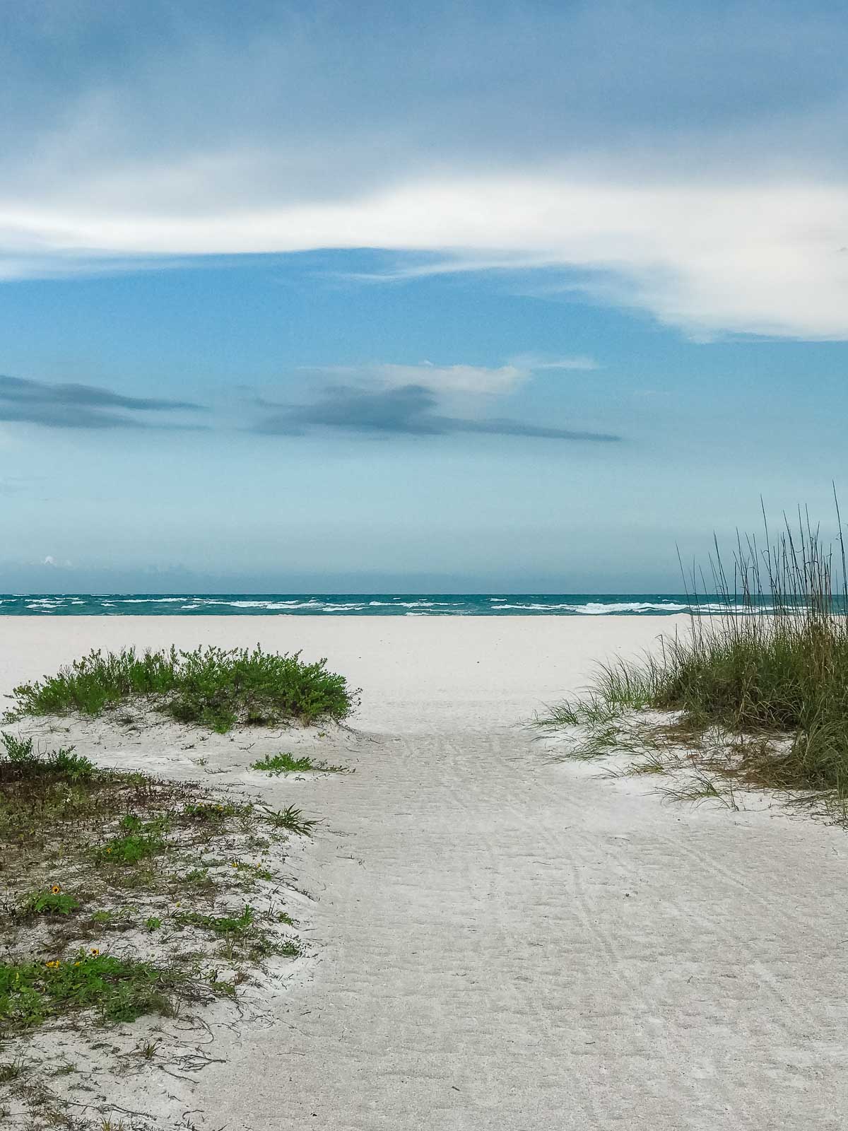 Gulf seashore in Florida