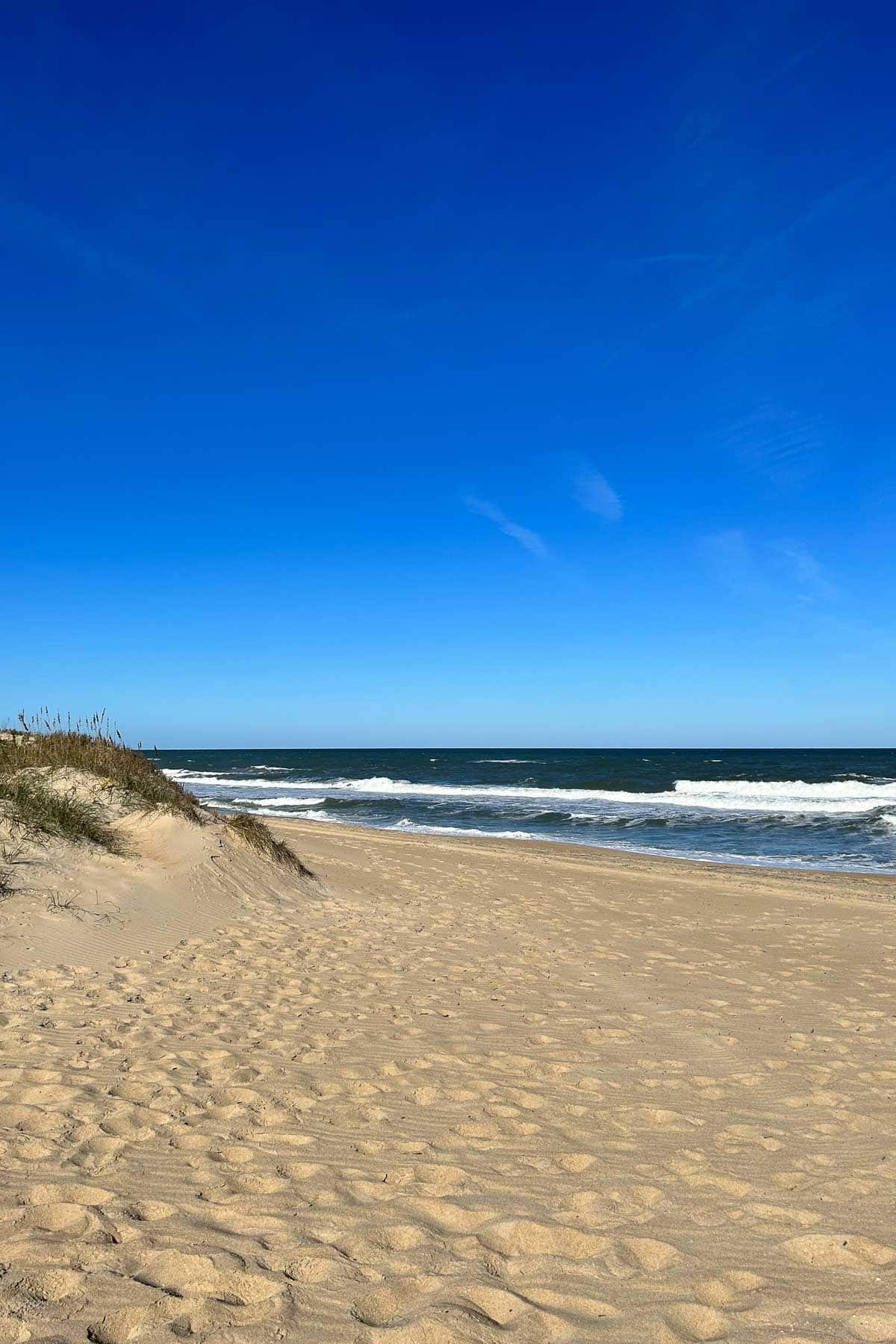 Seashore at Outer Banks, NC