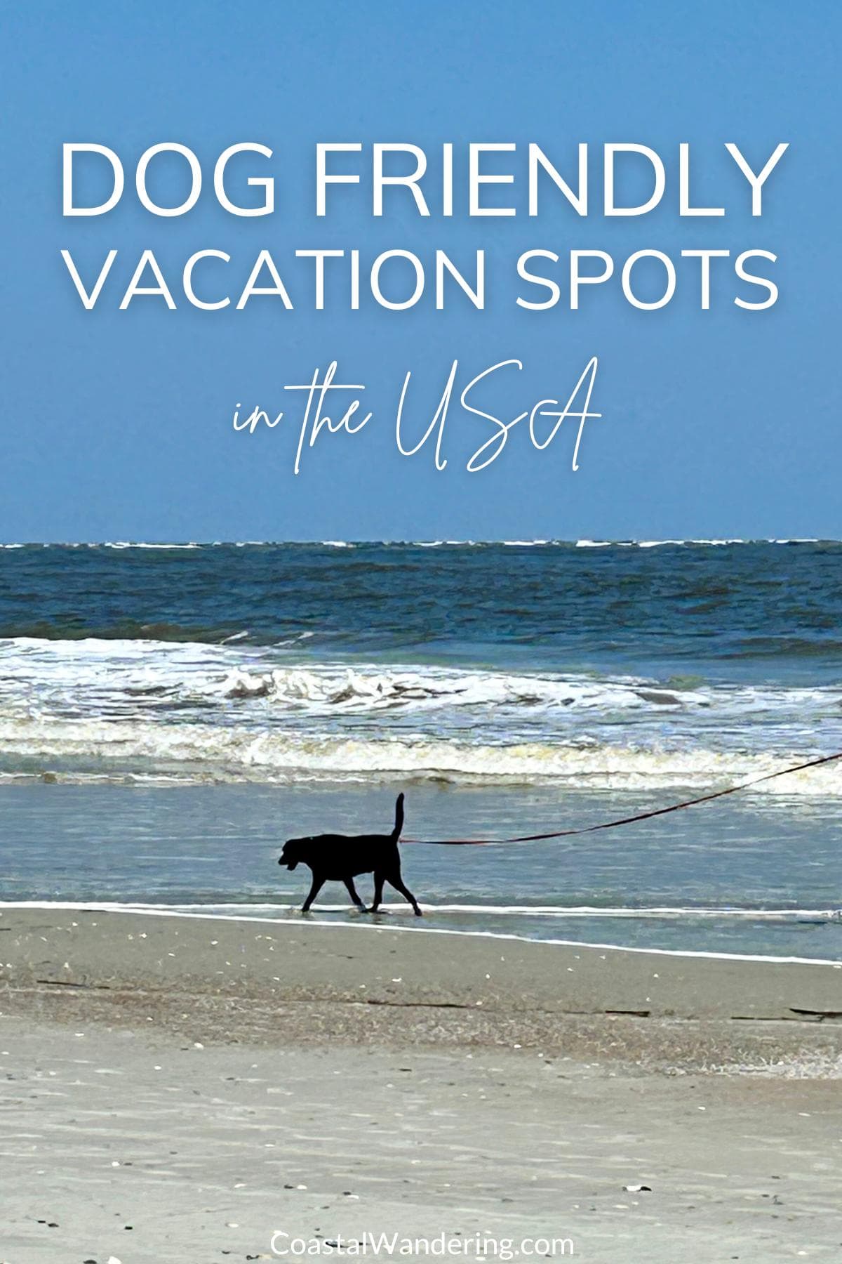 Dog friendly vacation spots in the USA