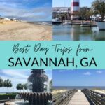 Best day trips from Savannah, GA